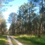 Casa vacanze Superbe Maison Finlandaise En Bois Tosse