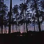 Superbe Maison Finlandaise En Bois