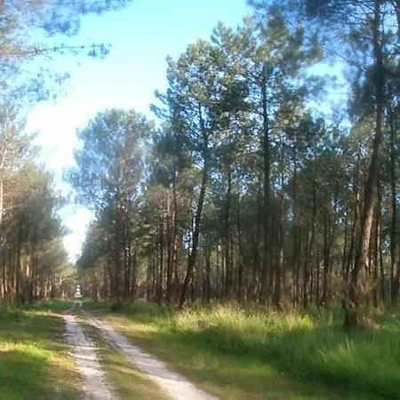 Prázdninový dům Superbe Maison Finlandaise En Bois Tosse