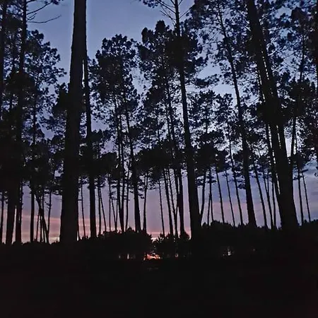 Superbe Maison Finlandaise En Bois